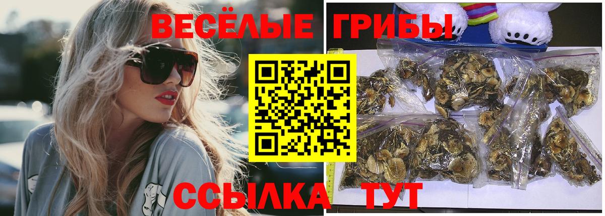 Галлюциногенные грибы Cubensis Жигулёвск