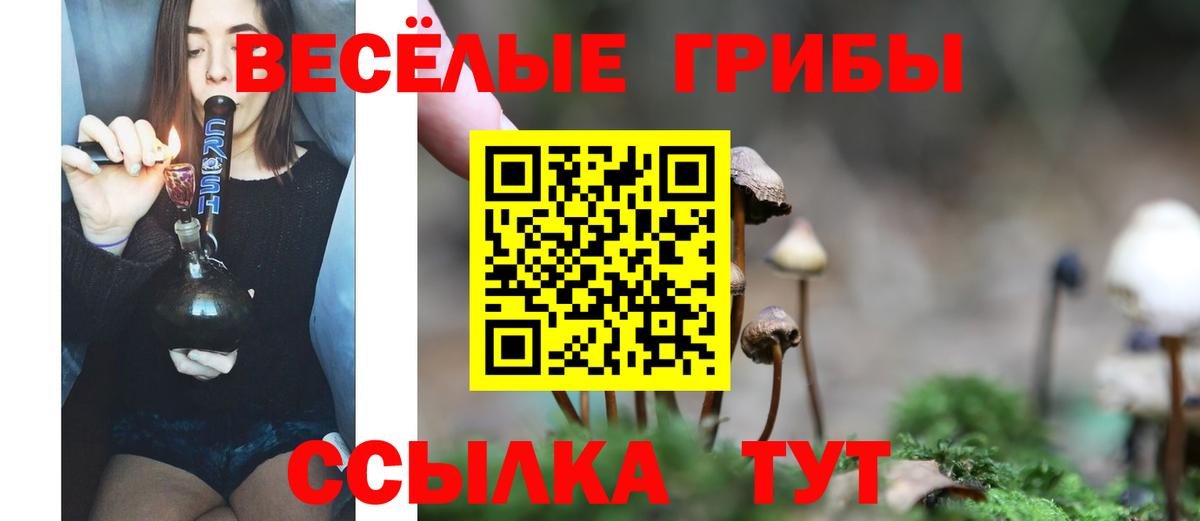 Жигулёвск  купить  цена  Вход с VPN  Псилоцибиновые грибы мицелий  Галлюциногенные грибы прущие грибы 